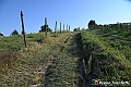 VBS_5767 - C'è un mare di velluto verde! E tu che sognavi di andare lontano... Quanta meraviglia, quì!